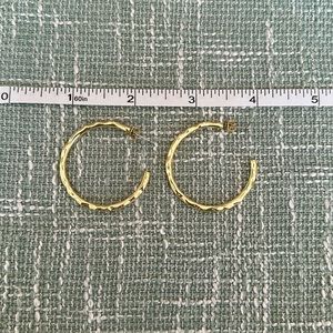 Uncommon James Hoop Earrings